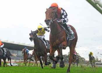 Bazaball Rewarded ready for city rise