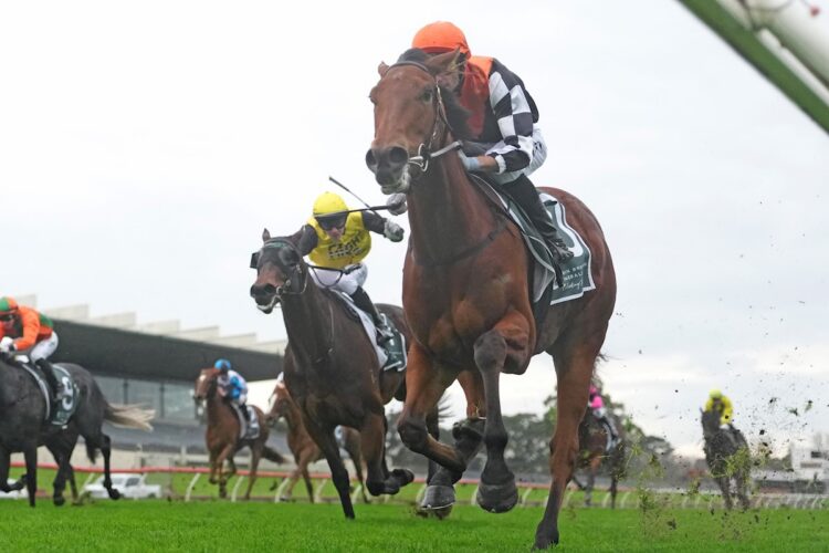 Bazaball Rewarded ridden by Jamie Mott wins the Tobin Brothers Celebrating Lives Handicap at Sportsbet Sandown Hillside Racecourse on June 13, 2026 in Springvale, Australia. (Photo by Scott Barbour/Racing Photos)