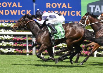 Group 1 glory would crown Baker’s remarkable season