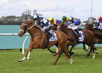 Big owners give emerging trainer her chance