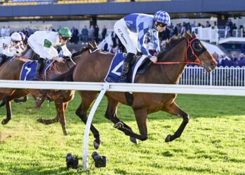 Pride has the Stradrboke favourite but the value may lie with a well-weighted stablemate