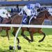 Pride has the Stradrboke favourite but the value may lie with a well-weighted stablemate