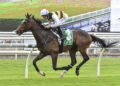 King Pedro ready to prove he’s better than benchmark grade