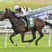 King Pedro ready to prove he’s better than benchmark grade