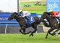 Six months for this: Tuned ready for Stradbroke grand final