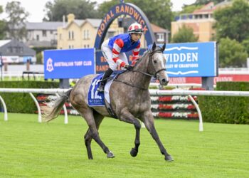 Portelli’s team at mercy of weather