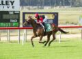 Big bets land on roughies as TAB customers chase monster collects