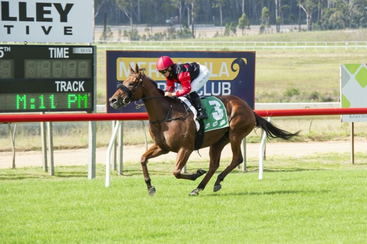 From Morutya to Randwick, one punter has piled into Sunrise Ridge
