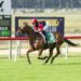 Big bets land on roughies as TAB customers chase monster collects
