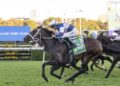 Spring ticket on the line for exciting import