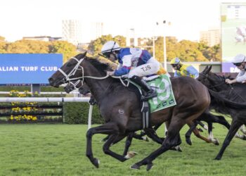 Spring ticket on the line for exciting import