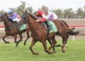 $12,000 buy chasing million-dollar dream