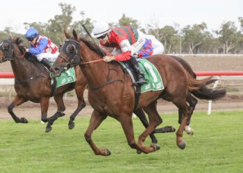 $12,000 buy chasing million-dollar dream