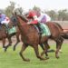 $12,000 buy chasing million-dollar dream