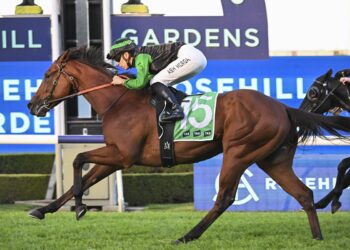 Stardeel inflicted some pain on TAB when it took out the last at Rosehill (Bradley Photos)