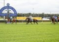 The filly Waterhouse and Bott think can go much higher
