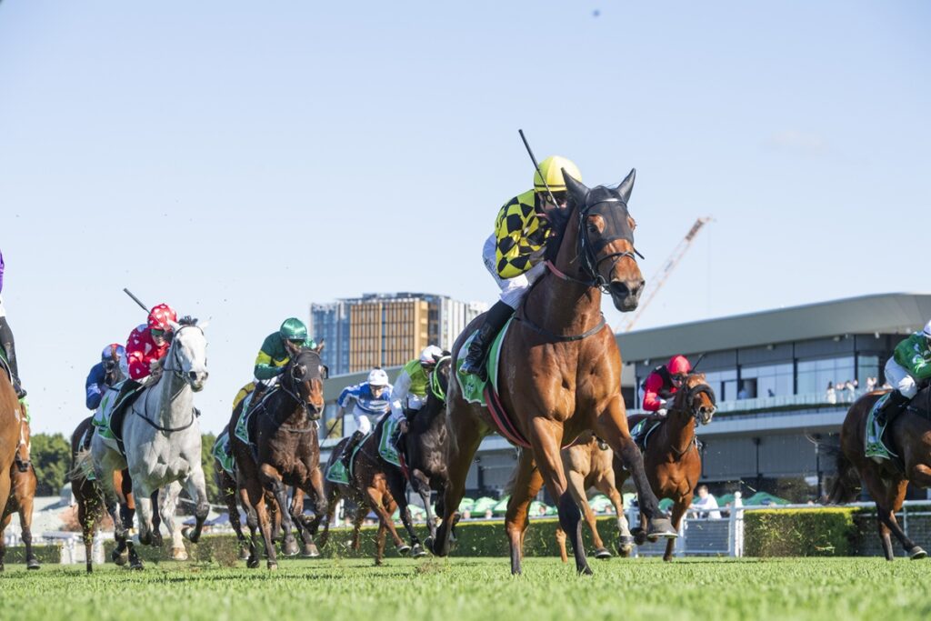 The Kosciuszko dream starts with a Highway win