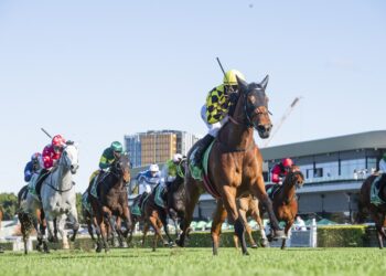 The Kosciuszko dream starts with a Highway win