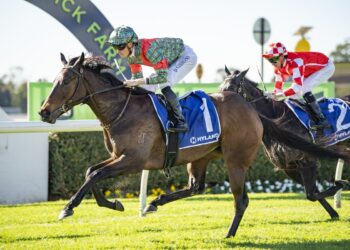 Pin Up Sheila earns spring black-type shot