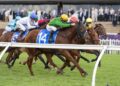 Late call sparks Rosehill winner