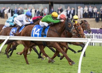 Late call sparks Rosehill winner