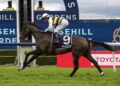 King Pedro on path to feature staying races