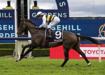King Pedro on path to feature staying races