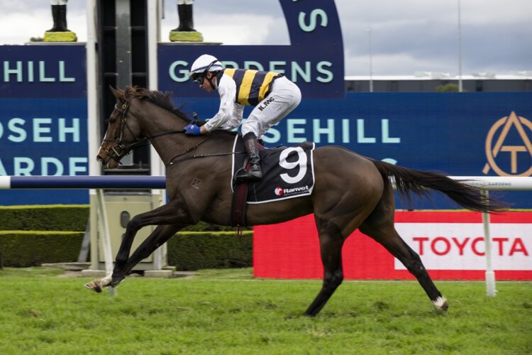 King Pedro snapped a frustrating run of near misses with an impressive Stayers Cup win at Rosehill, with Tom Charlton now eyeing bigger staying targets. [Bradley Photos]