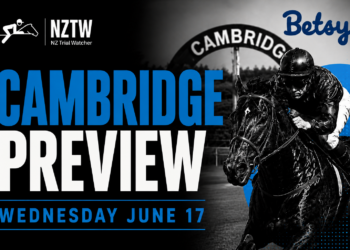 NZ Trial Watcher: Keen to bet up at Wednesday’s Cambridge meeting