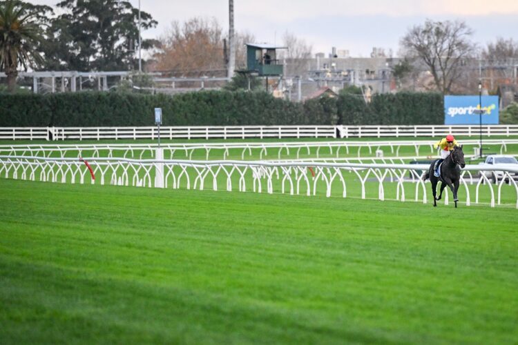 Hezdarnhottoo (NZ) ridden by Jett Stanley wins the Darren Gauci Handicap at Caulfield (Photo by Reg Ryan/Racing Photos)