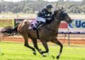 ‘She’s awake’: Family provide update on injured jockey Kristy Bennett