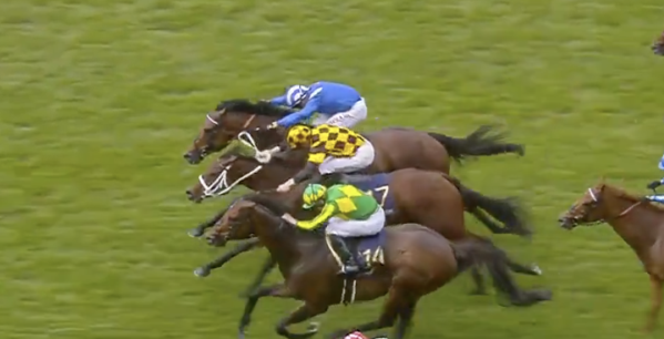 Joliestar was brave in defeat