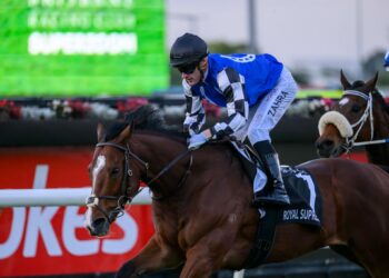 The Q22 in review: How eight jockeys got it totally wrong