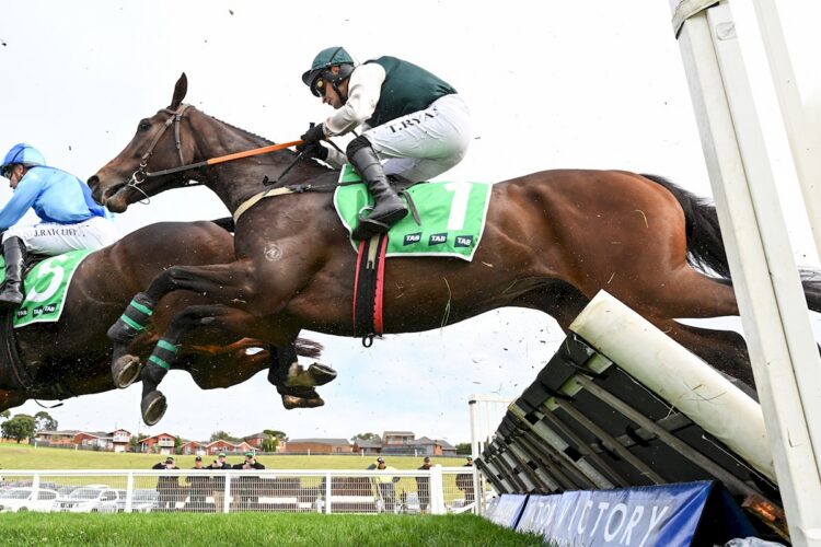 Andy Win in action at Warrnambool (Credit: Racing Photos)
