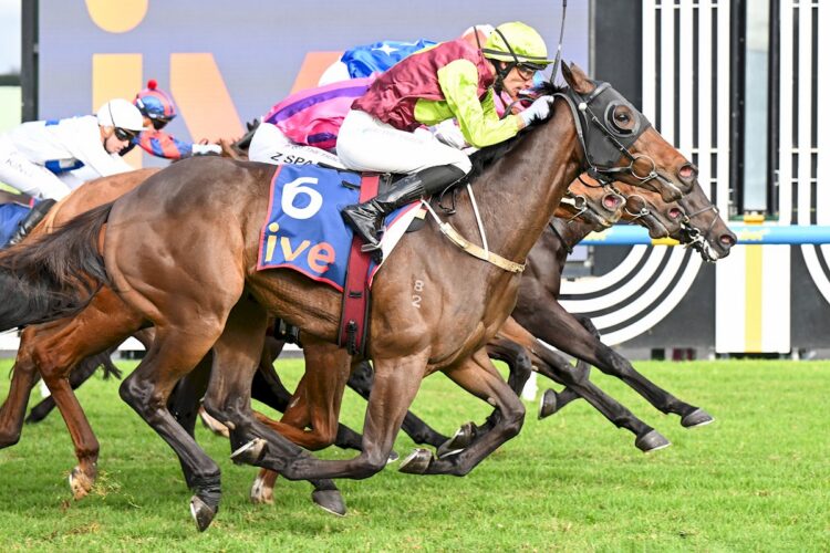 Blankfield ridden by Jamie Mott wins the ive > Handicap at Caulfield Heath Racecourse on May 27, 2026 in Caulfield, Australia. (Photo by Pat Scala/Racing Photos)