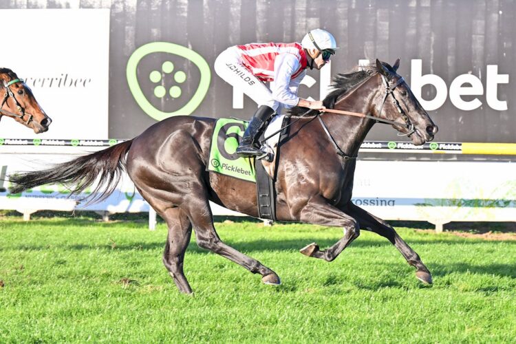 Biologics ridden by Jordan Childs wins at Werribee Racecourse on May 14, 2026 in Werribee, Australia. (Photo by Pat Scala/Racing Photos)