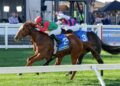 Luck owes Madiyya a win