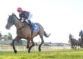 Miracle Spin’s remarkable turnaround continues