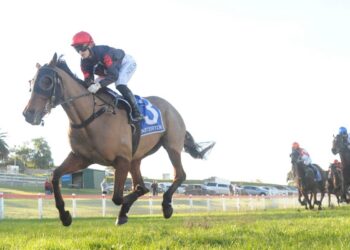 Miracle Spin’s remarkable turnaround continues