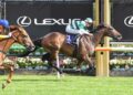 Queensland run crucial as Future History chases another Melbourne Cup