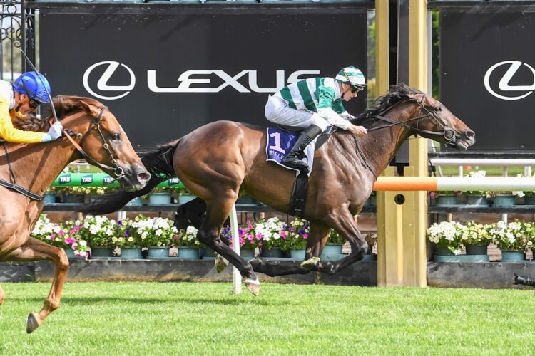 Future History (GB) ridden by Ethan Brown wins the Bagot Handicap at Flemington Racecourse on December 31, 2025 in Flemington, Australia. (Photo by Brett Holburt/Racing Photos)