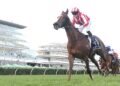 TAB Punters Punish the Book: Feature race roughies fuel big multi collects