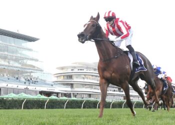 TAB Punters Punish the Book: Feature race roughies fuel big multi collects