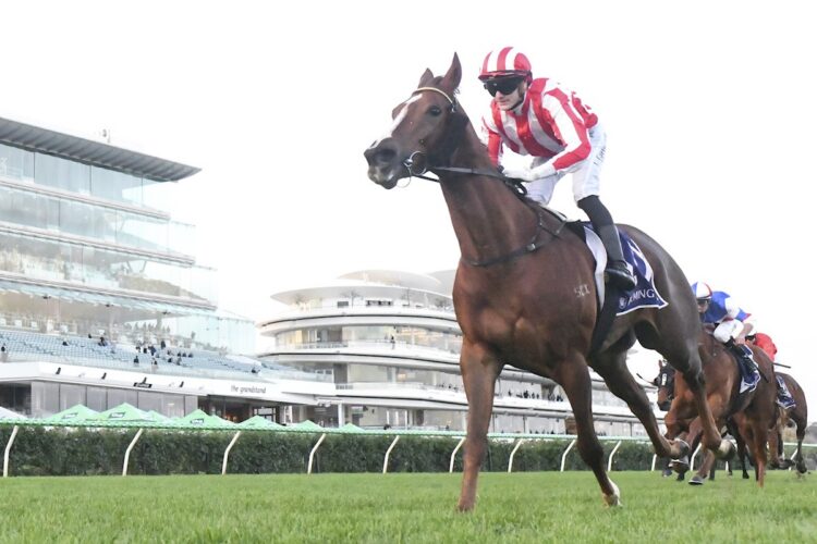 Obvious landed one punter a significant result when he took out the last at Flemington (Credit: Racing Photos)