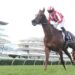 TAB Punters Punish the Book: Feature race roughies fuel big multi collects