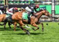 Straight-track specialist primed for Finals Day prize