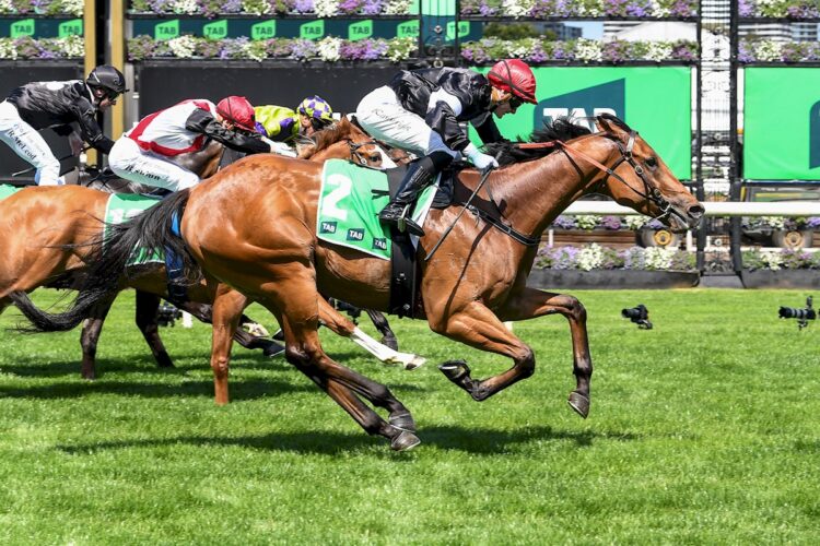 De Bergerac ridden by Luke Cartwright wins the TAB We're On at Flemington Racecourse on October 04, 2025 in Flemington, Australia. (Photo by Brett Holburt/Racing Photos)