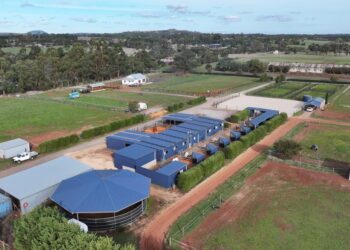 Michelle Payne is looking to sell her Ballarat property, which has a wide array of horse training and agistment infrastructure is already present.