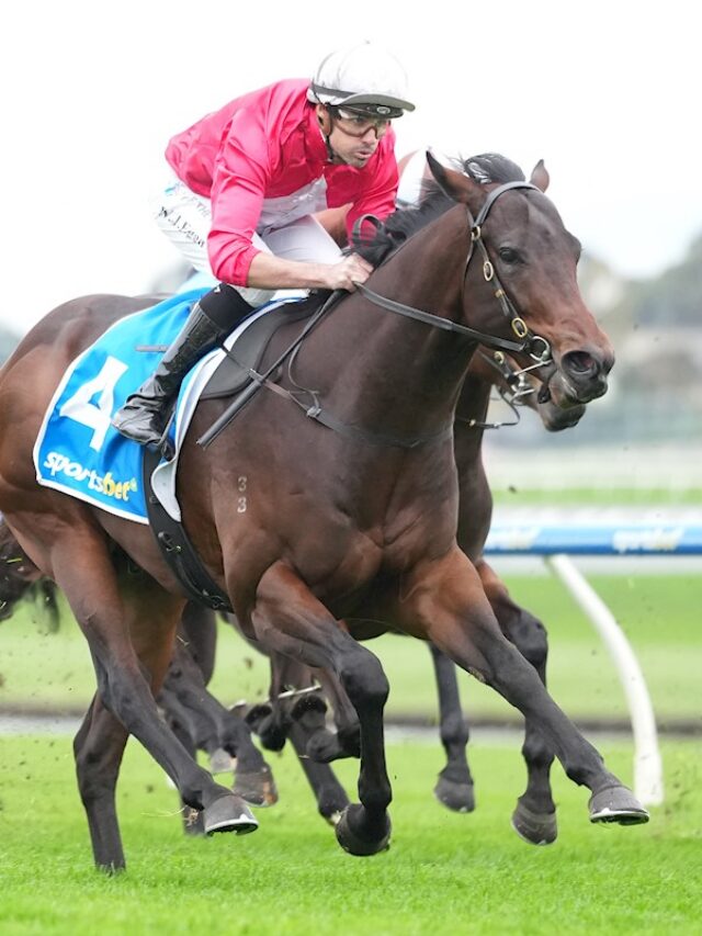 Matt’s Top 5 3YO’s