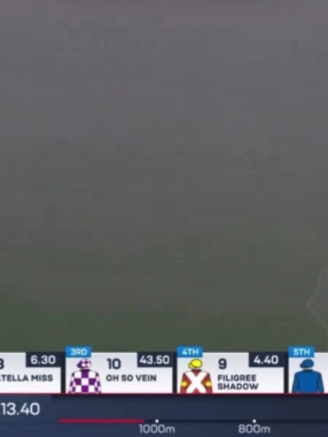 What the fog?!